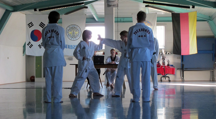Taekwondo_2013_03