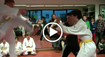 taekwondo_video_2014